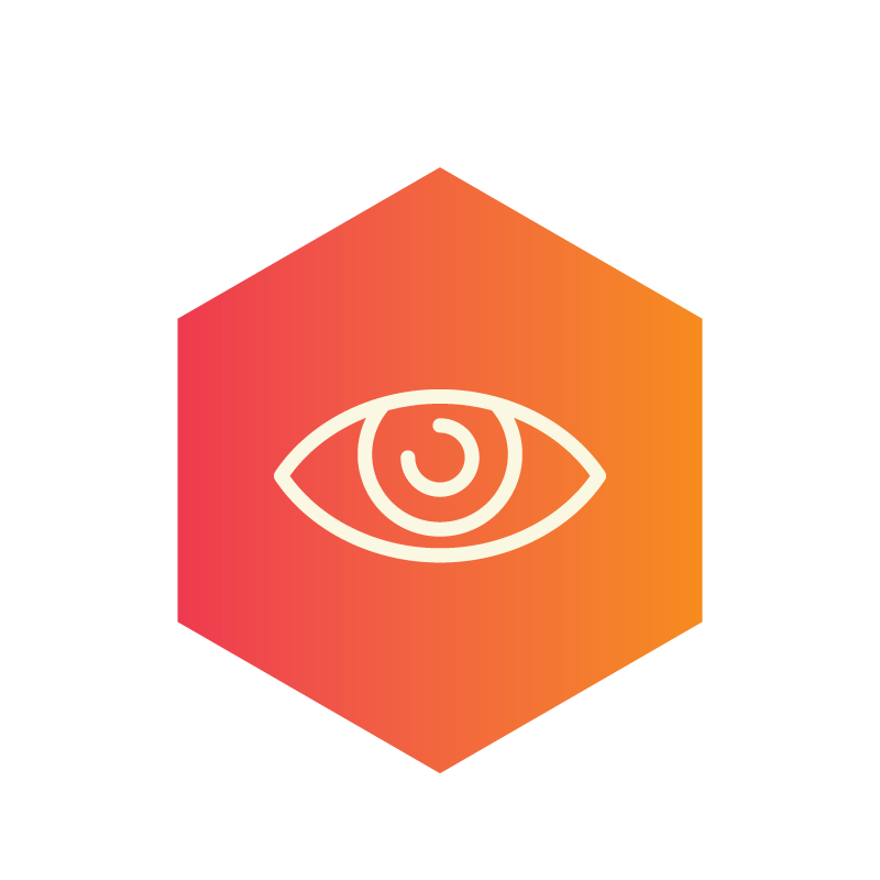 Imagery Services Icon